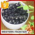 Venta al por mayor seco wolfberry nuevo cultivo negro goji berry